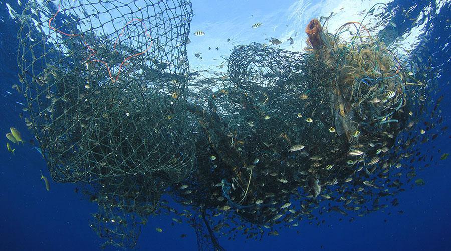 Fish net pattern or fishnet mesh grid background 29694750 Vector