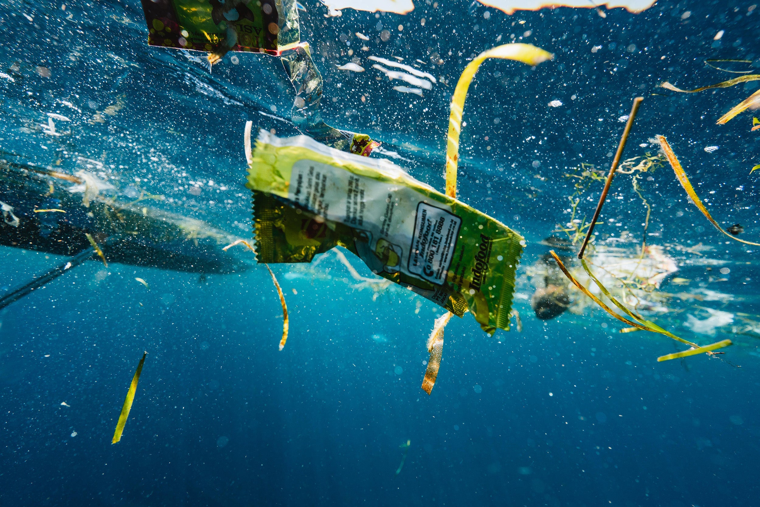 The State of the Ocean Plastic Crisis – 2025