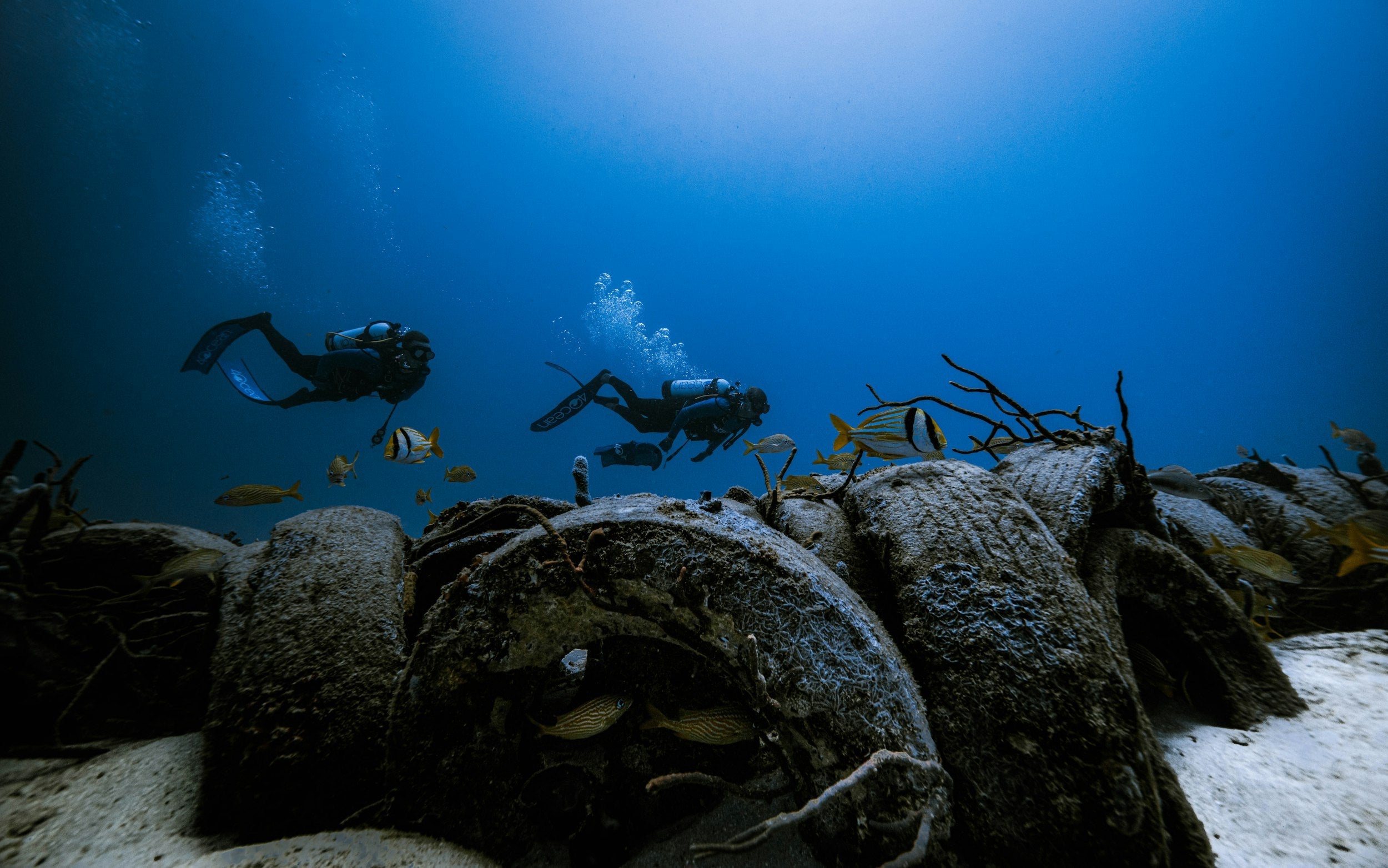 How Sailun Tire and 4ocean Are Driving Sustainability Forward