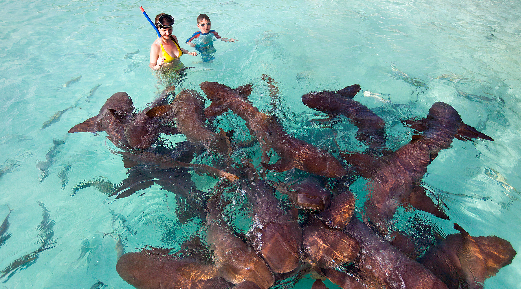 Deadly Act: Littering