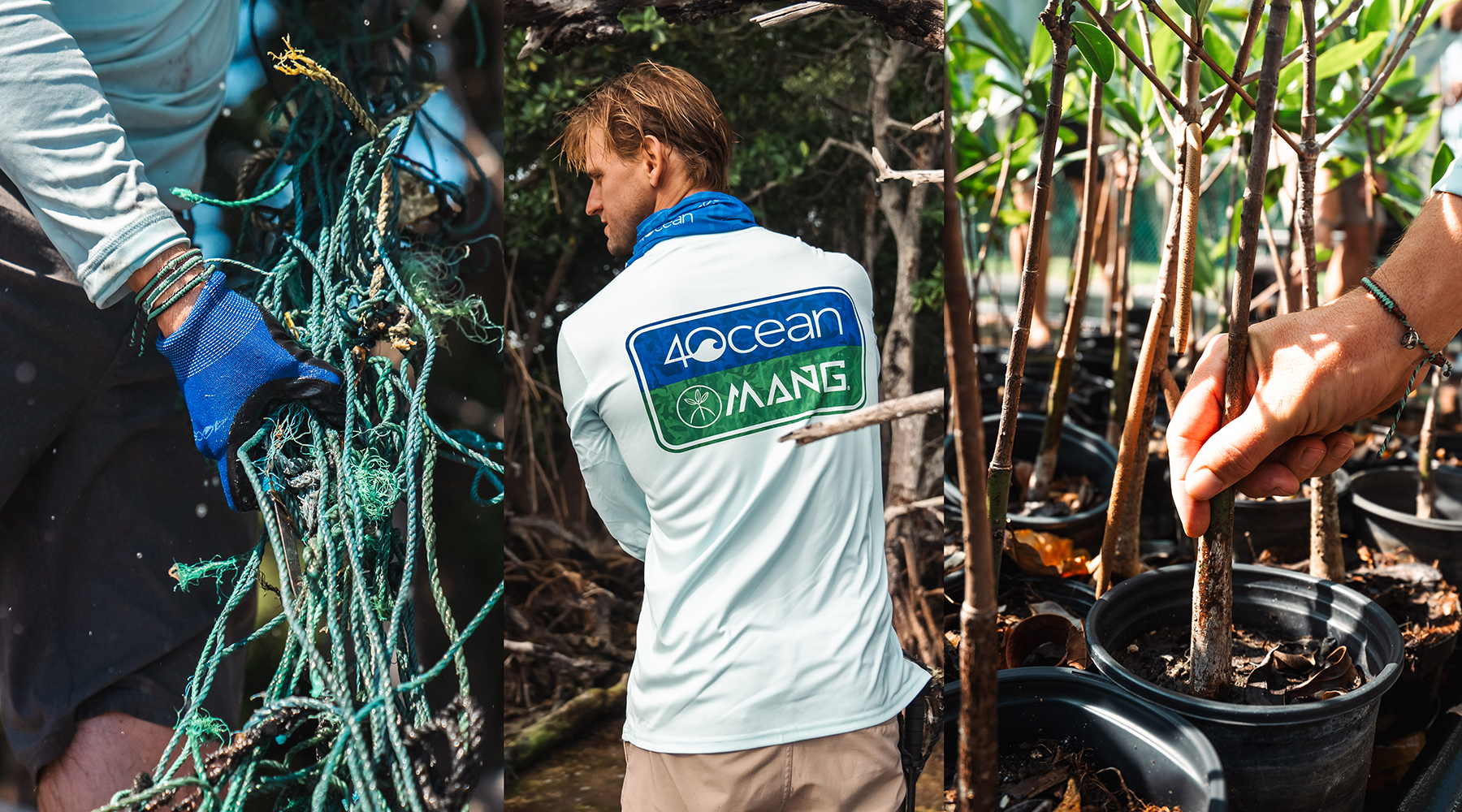 Changing the World, One Mangrove At a Time