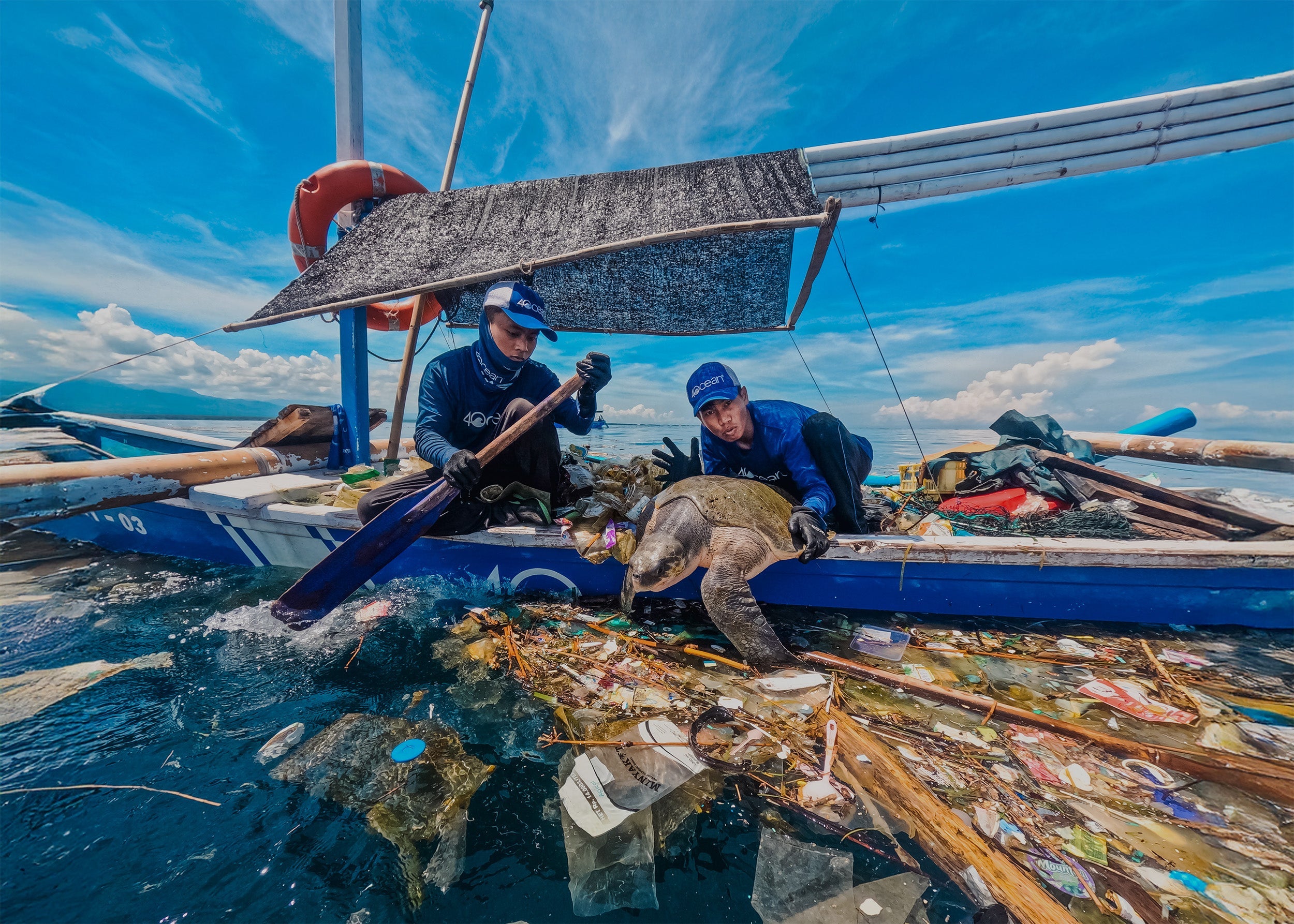 Protecting the Sea, Saving Turtles: A Day Amid Ocean Waste