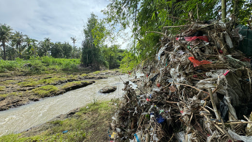 The Trees are Full of Trash