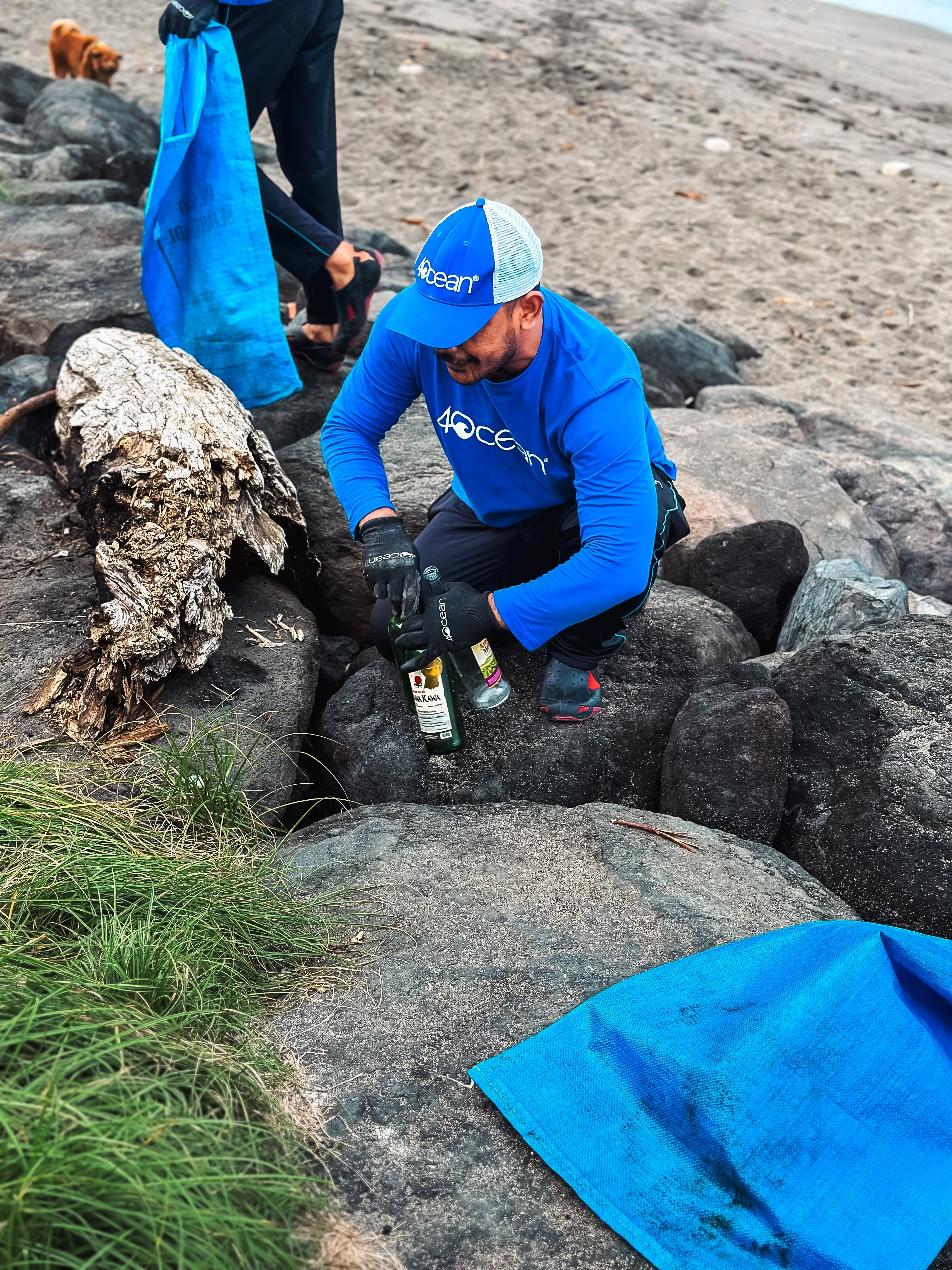 Not Fish, but Trash: The Reality Behind the Beauty