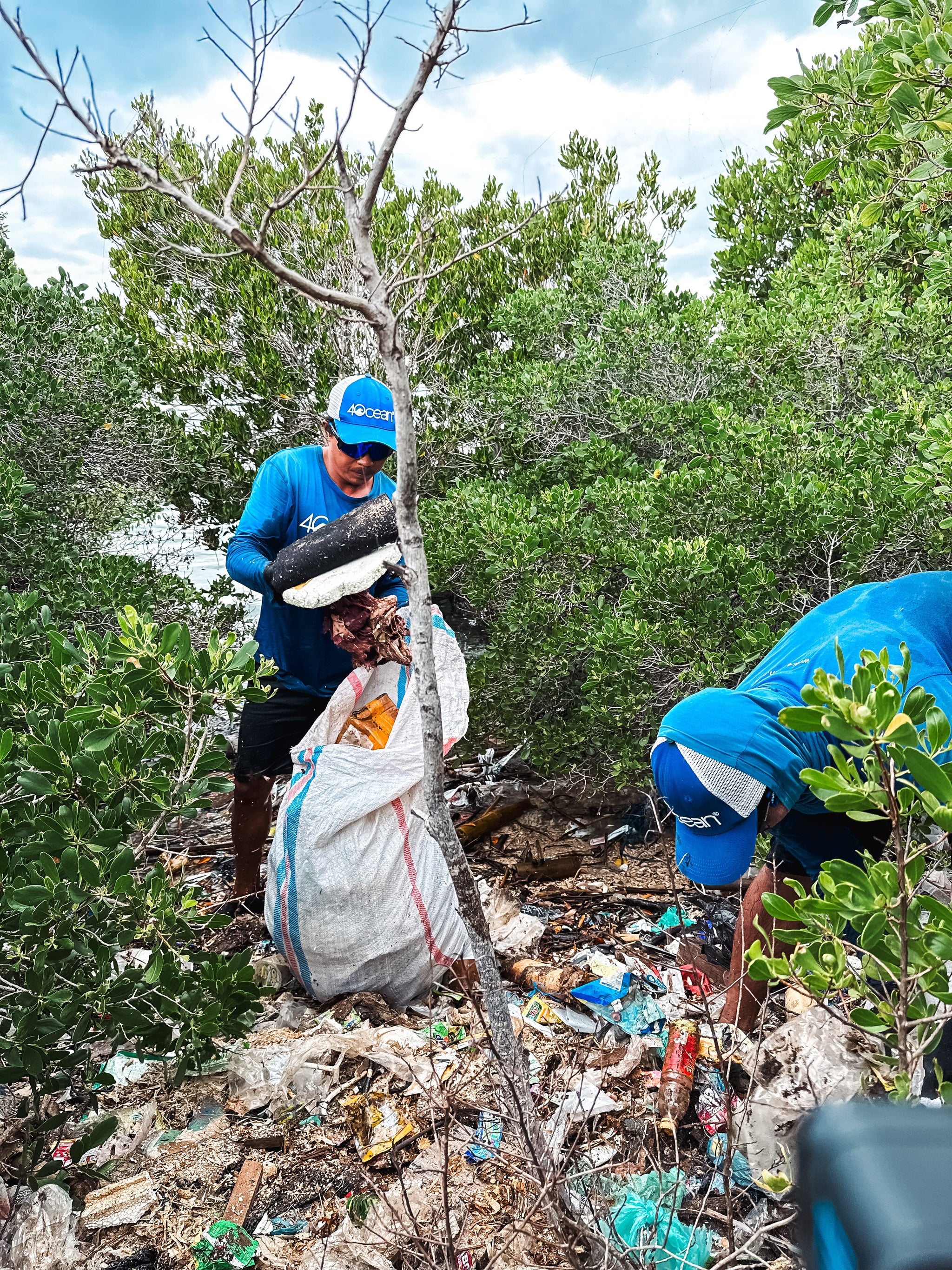 Cleanup in the Mangrove Jungle