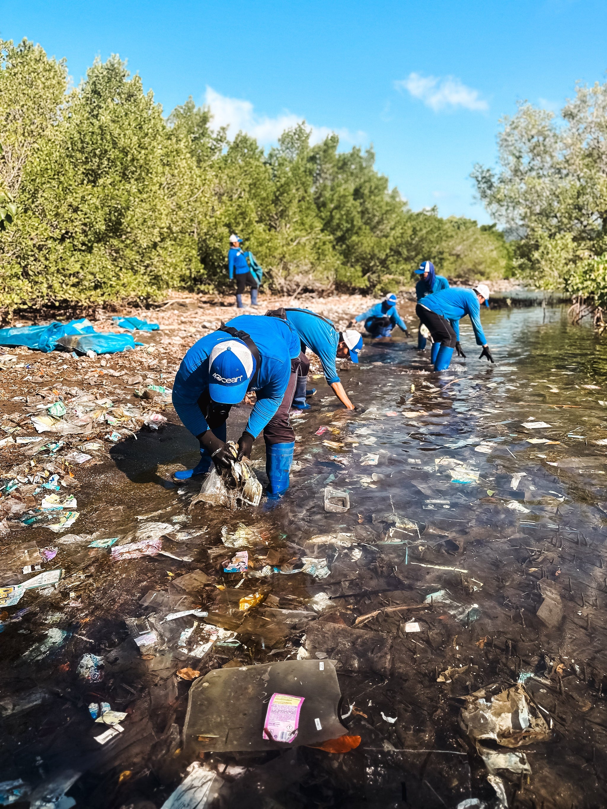 Saving the Mangroves: Cleanup Mission at Teluk Terima