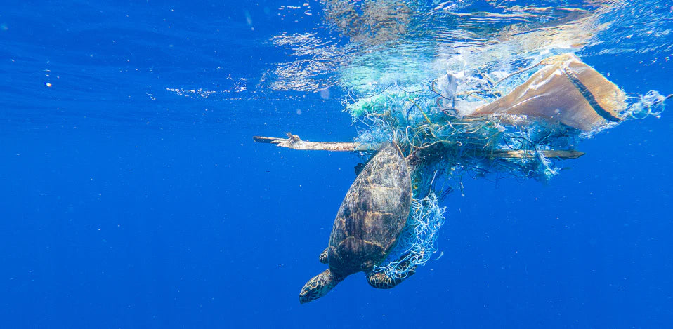 The Invisible And Silent Fisherman