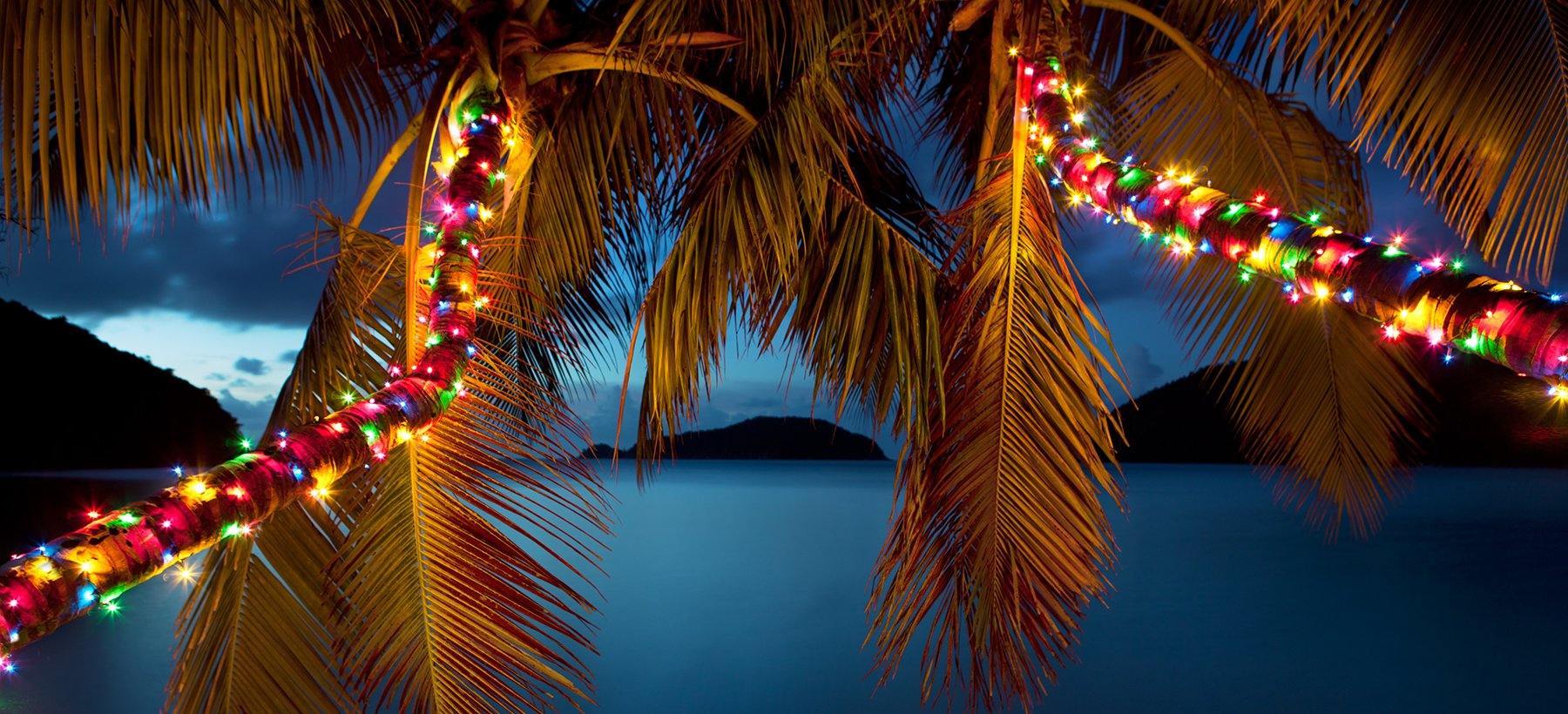 Last Minute Christmas Gifts for Women - From Under a Palm Tree