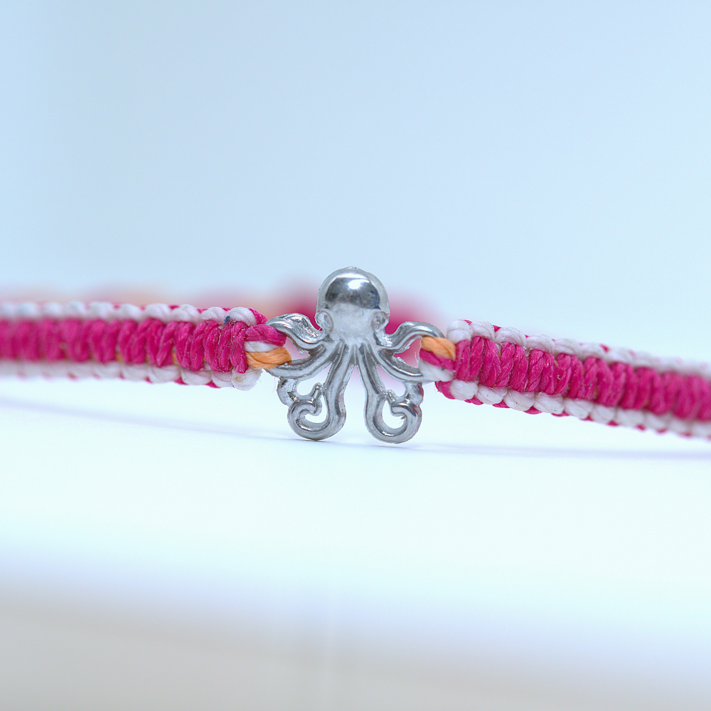 Reef and Tidepool Bundle