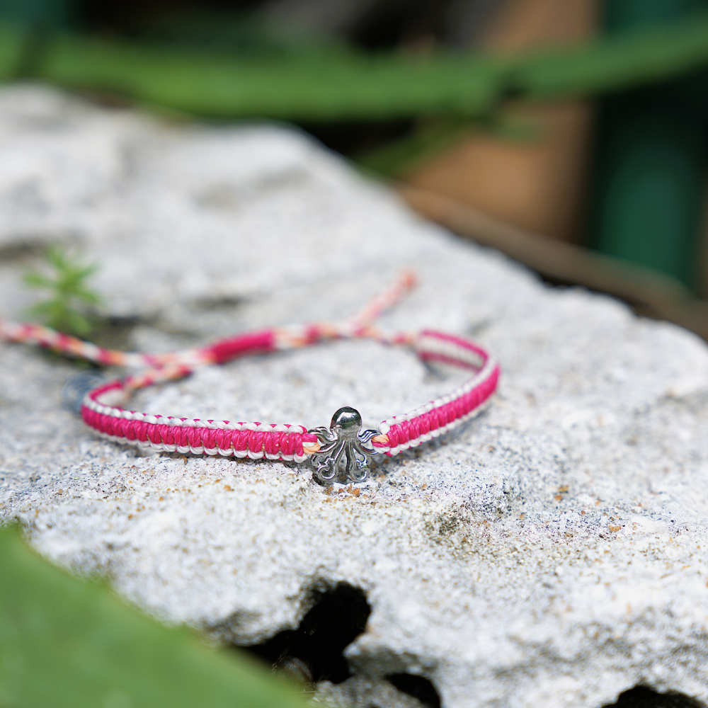 Reef and Tidepool Bundle