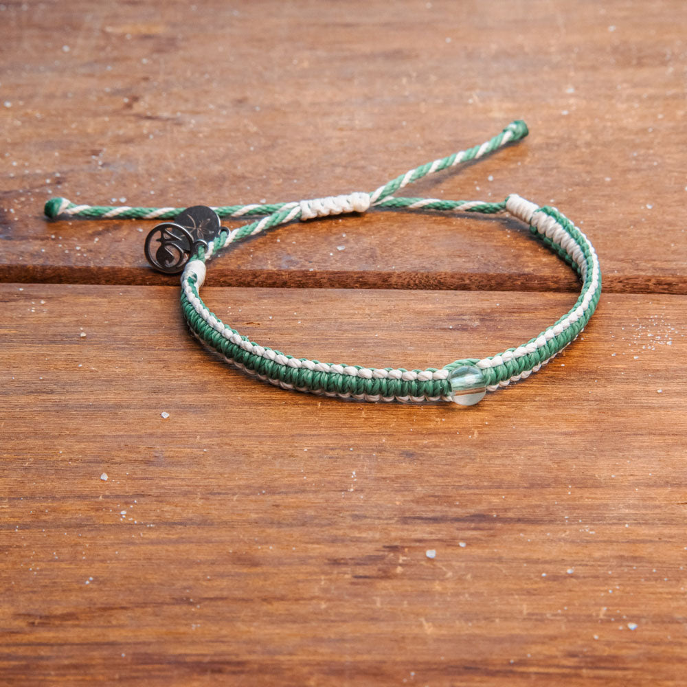 Mangrove Restoration Collection