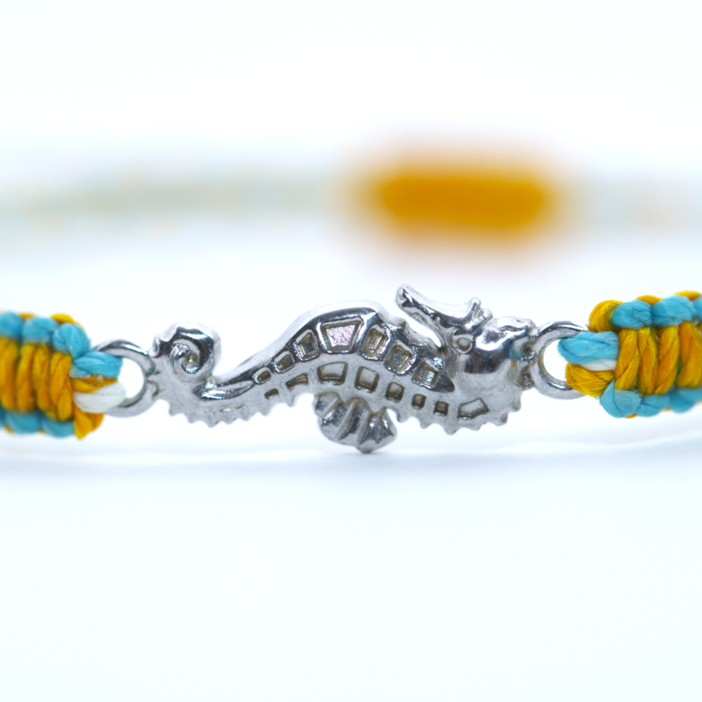 Reef and Tidepool Bundle