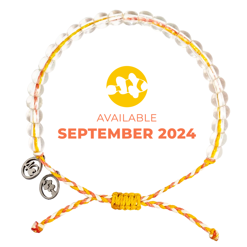 2024 Clownfish Bracelet | Limited Edition | 4ocean Bracelet of the Month