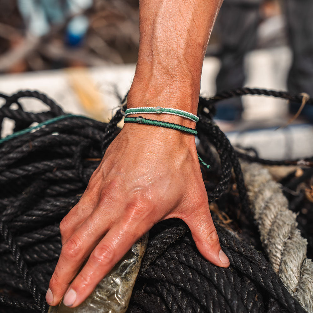 Mangrove Restoration Collection