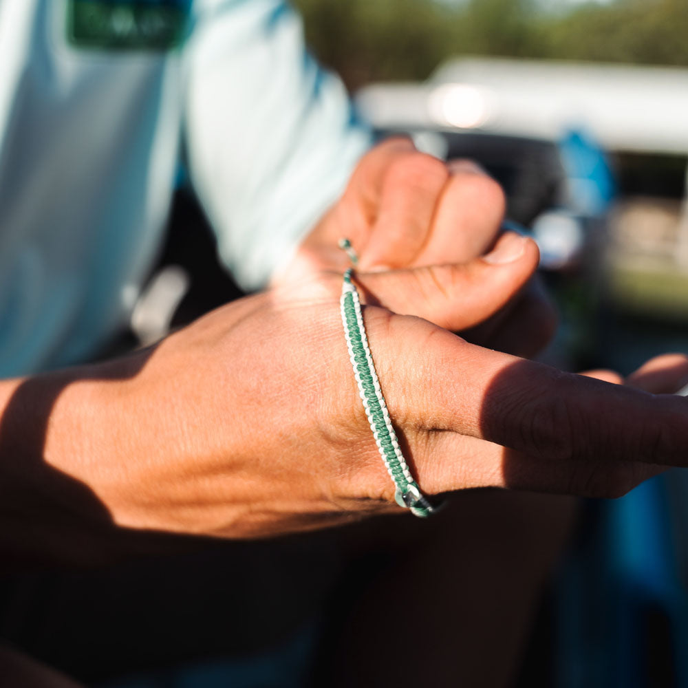 Mangrove Restoration Collection