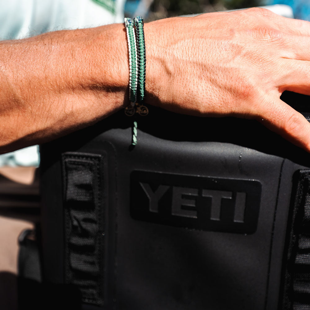 Mangrove Restoration Collection