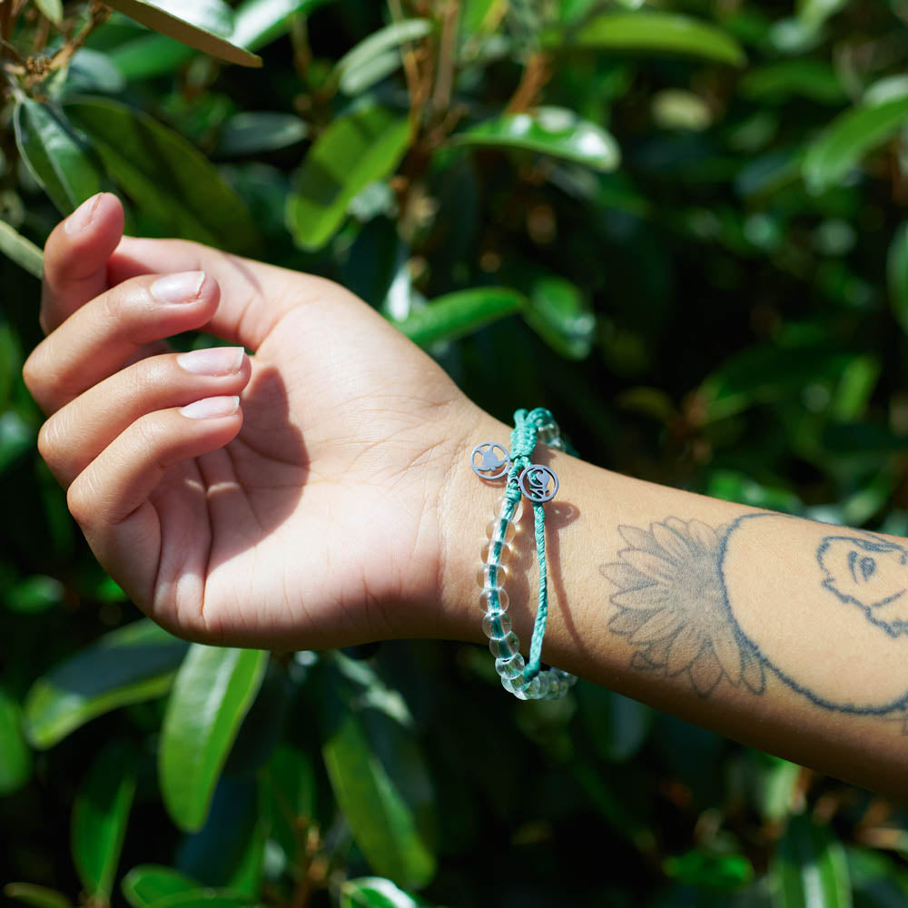 Classic Collection Bundle