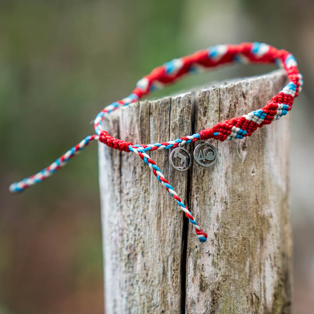 Limited Edition 2026 Hammerhead Shark Bracelet