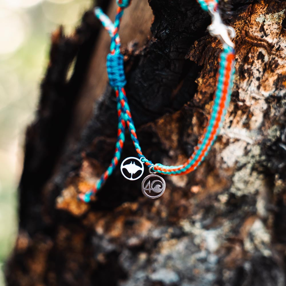 2025 Manta Ray Bracelet | Limited Edition | 4ocean Bracelet of the Month
