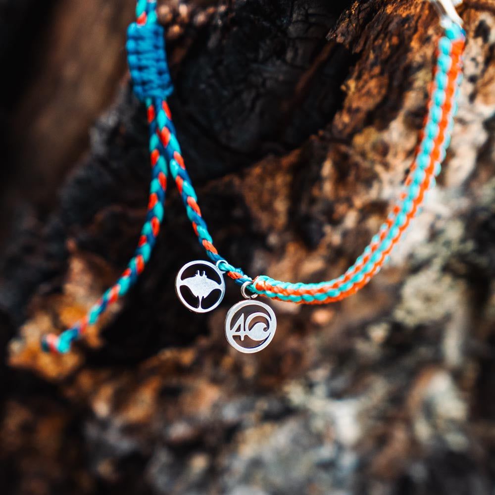 2025 Manta Ray Bracelet | Limited Edition | 4ocean Bracelet of the Month