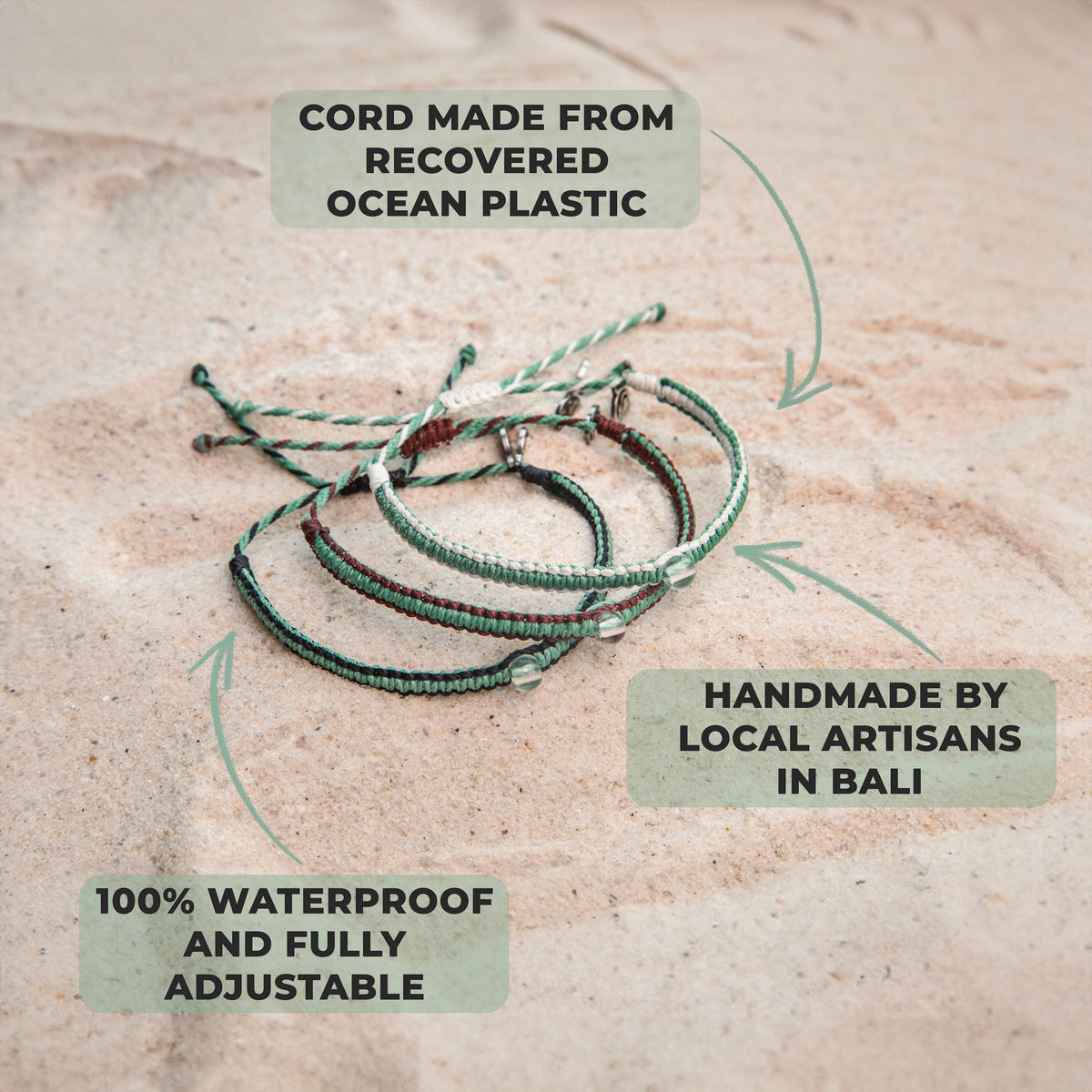 Mangrove Restoration Collection