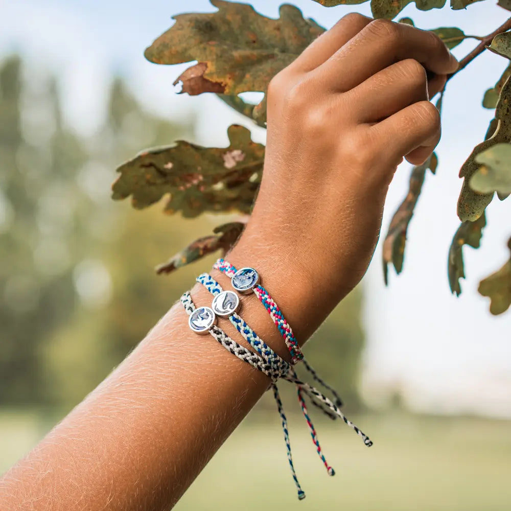 microplastic_whale microplastic_shark microplastic_tuna