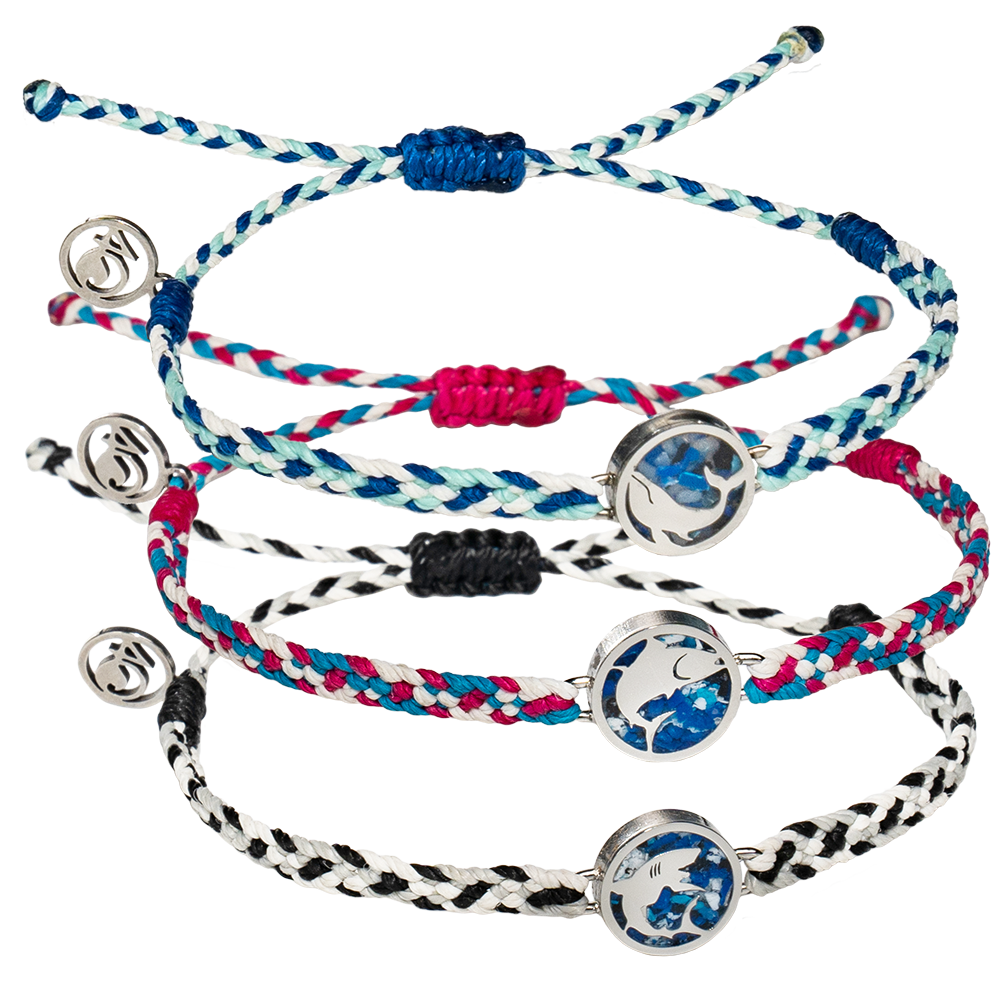 microplastic_whale microplastic_shark microplastic_tuna