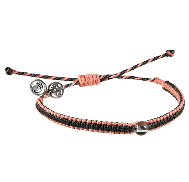 Pocillopora Verrucosa