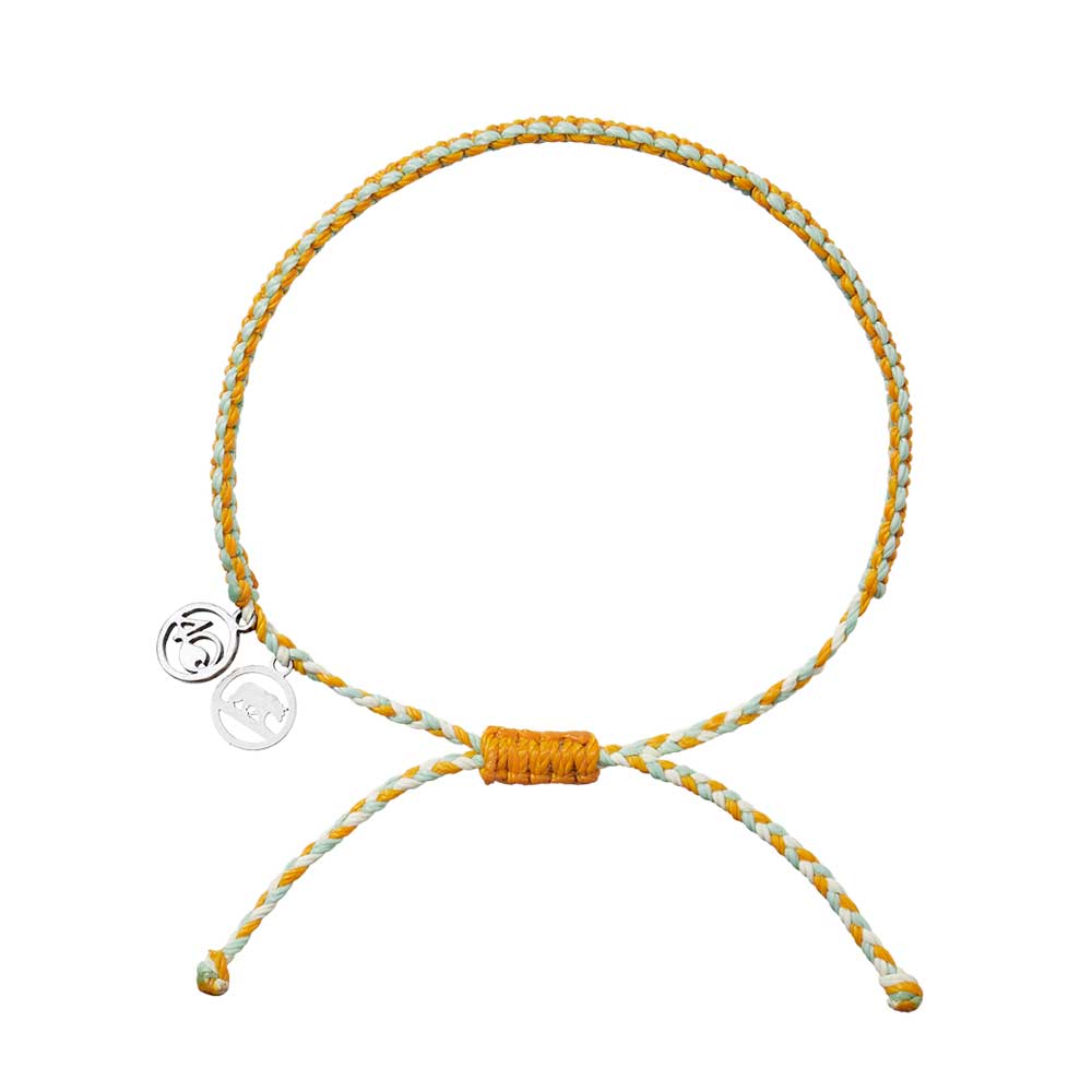 Polar Bear Bracelet of the Month — Limited Edition