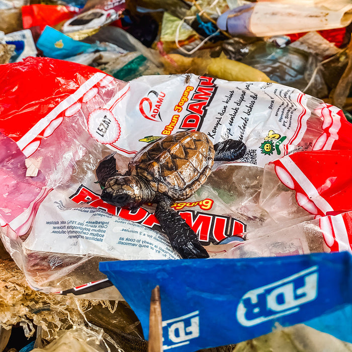 Baby Henry: A Little Miracle Amidst the Trash