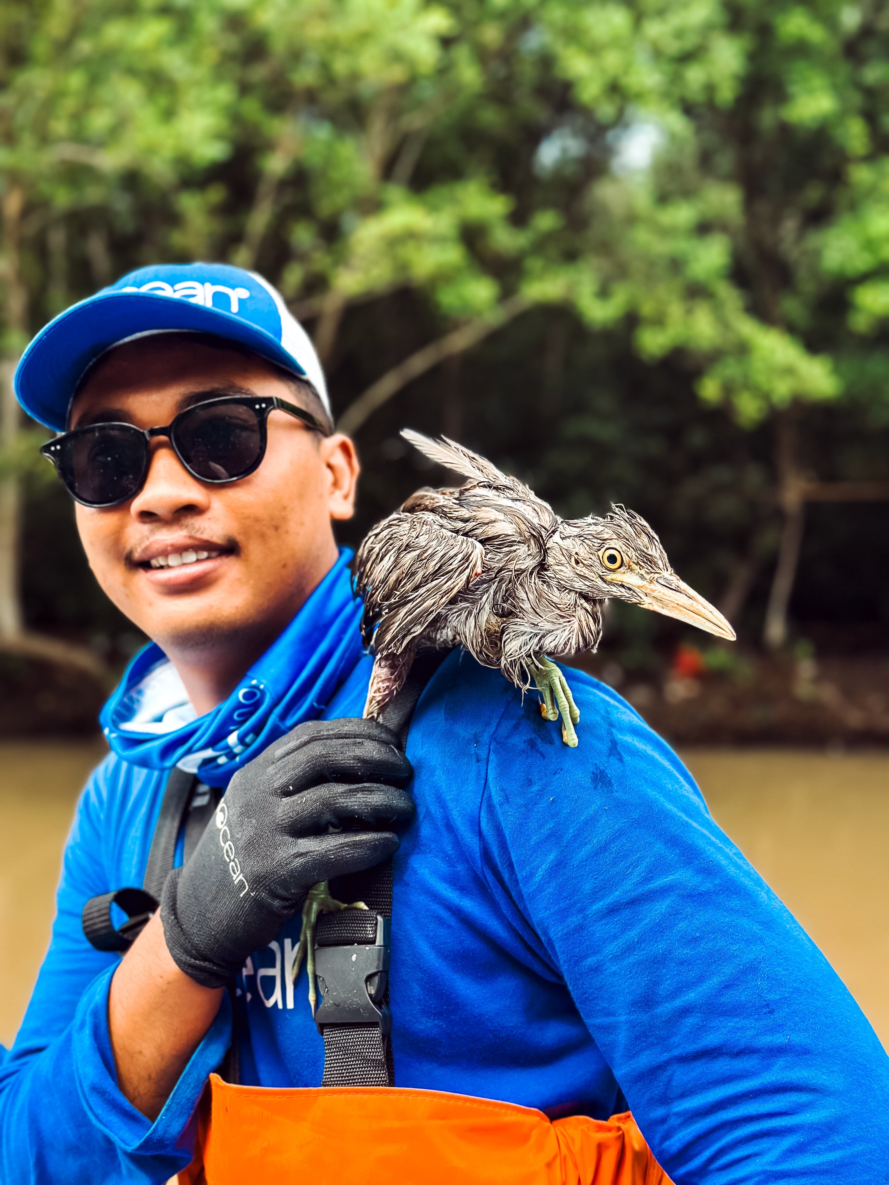 A Life Saved: Bird Rescued along the Ijo Gading River