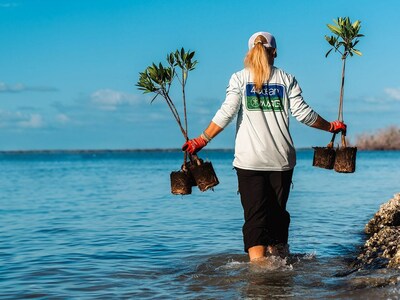 4ocean and Mang Gear Launch New Collection of Bracelets To Save Mangrove Forests