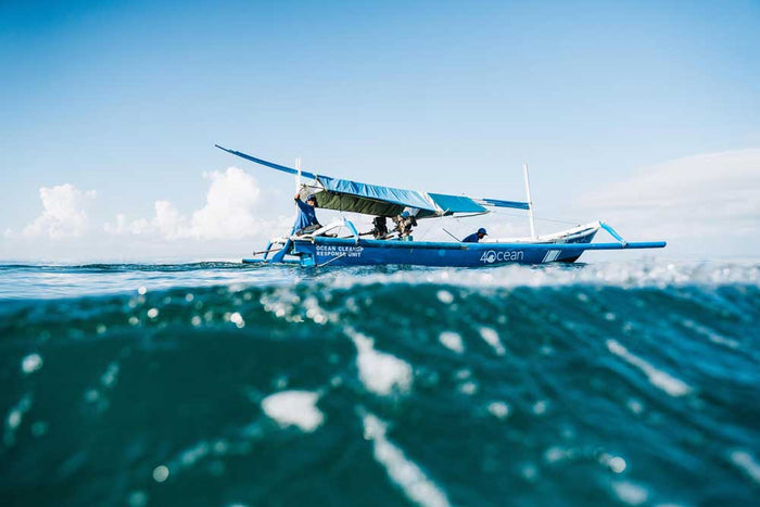 Java team rescues endangered whale shark