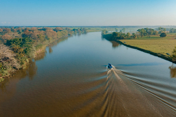 4ocean x Corona Blog