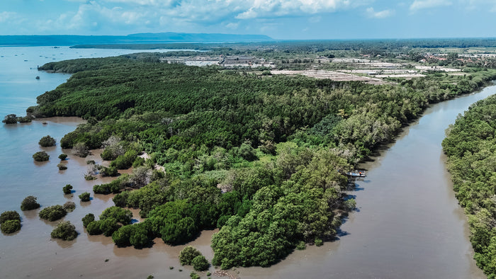 How Corporate Sustainability Partnerships Drive Real-World Environmental Impact