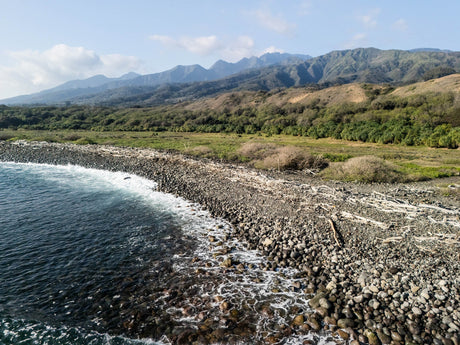 From Shorelines to Sacred Wetlands: Frank Family Vineyards and 4ocean Deepen Their Commitment in Maui