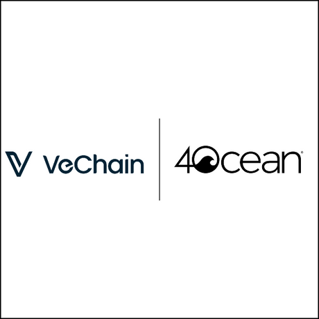 4ocean and VeChain Launch Blockchain-Powered Cleanup Campaign Through the Cleanify Platform.