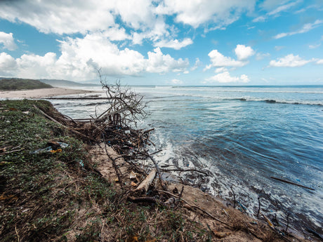 The Ocean’s Largest Plastic Trap: How Your Trash Travels Across the Pacific