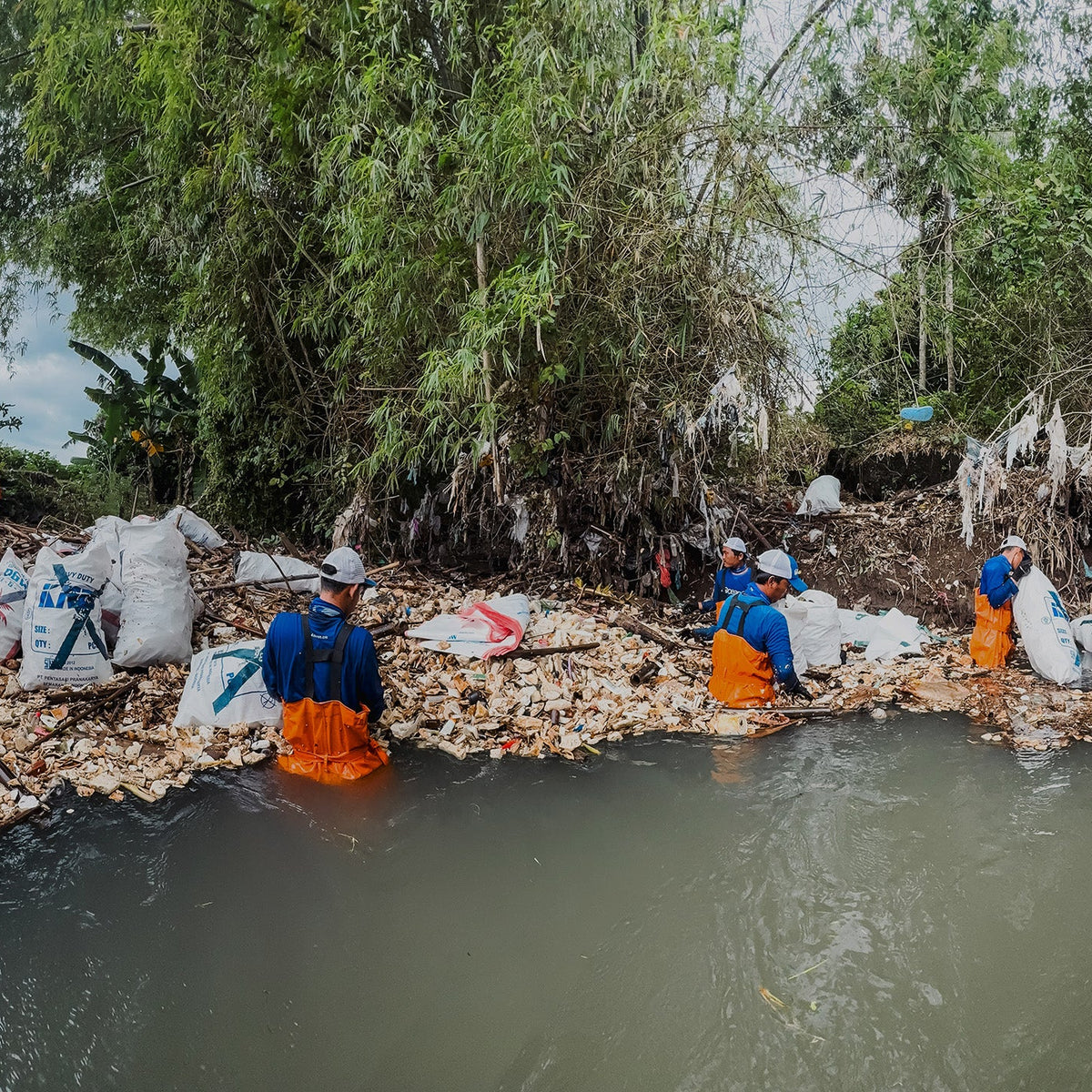 Three Days That Changed a River: The Sukosari Cleanup in Java – 4ocean