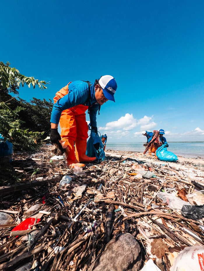 Deep Into the Mangroves of Sembulungan Bay