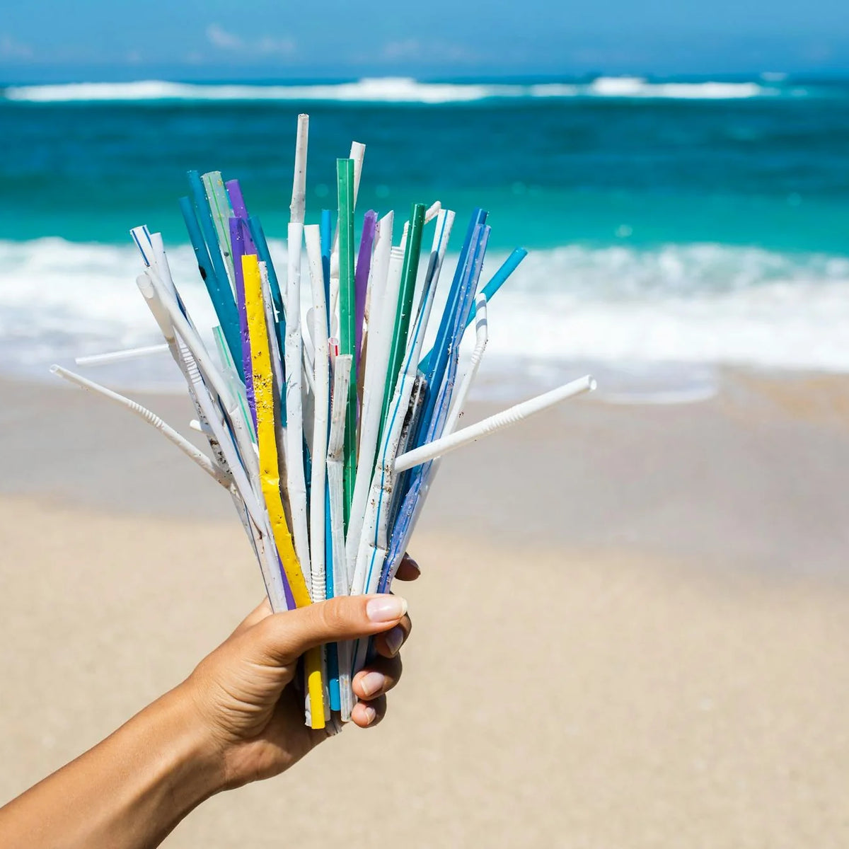 How a Small Swap Saves Sea Turtles – 4ocean