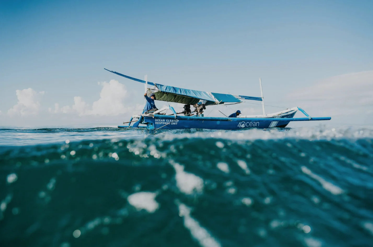 Java team rescues endangered whale shark