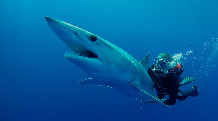 Guy Harvey Product Partnership