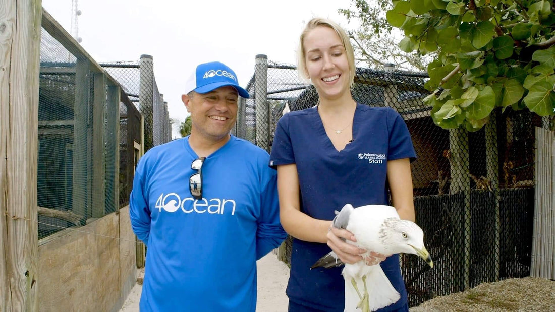 4ocean Bird Rescue - Pelican Harbor Seabird Station