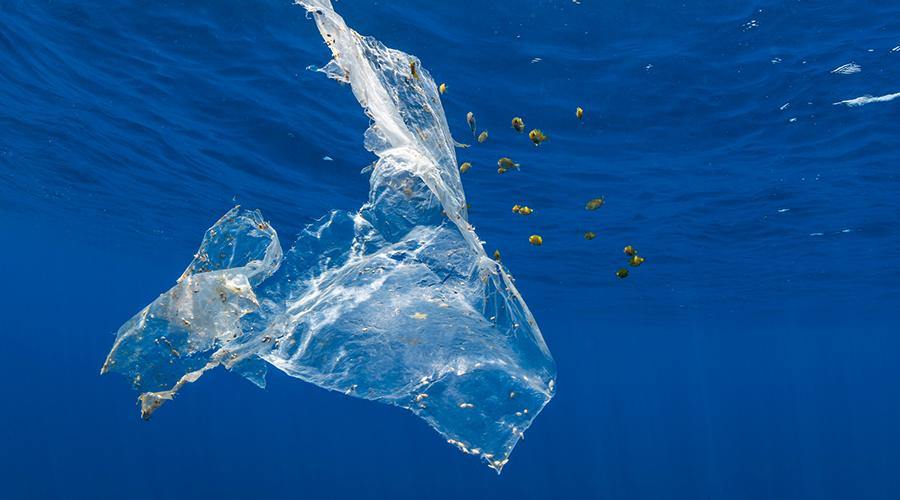 In the News - Log 10: Plastic Around the World - 4ocean