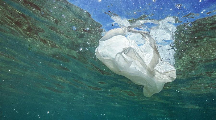 In the News - Log 6: Plastic Around the World - 4ocean