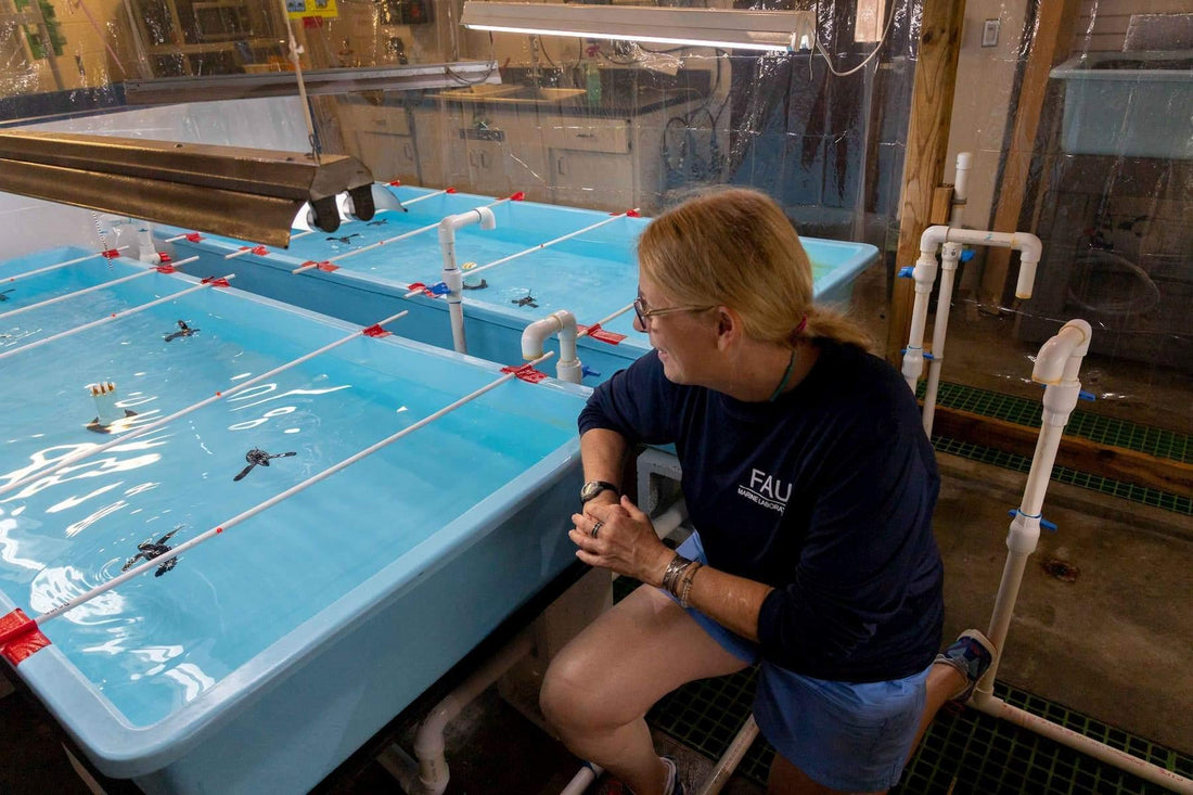 Meet Our Partner: Florida Atlantic University® Marine Research Lab - 4ocean