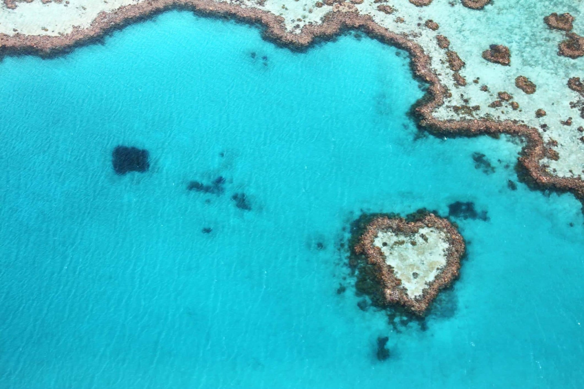 4ocean and the Great Barrier Reef Foundation Partner