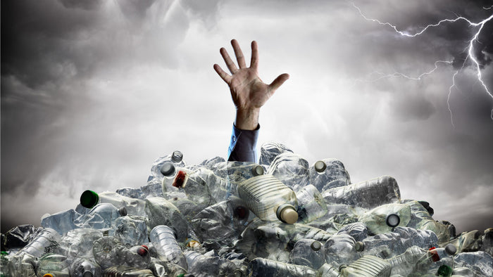 Don’t be a bystander; fight to save the ocean.