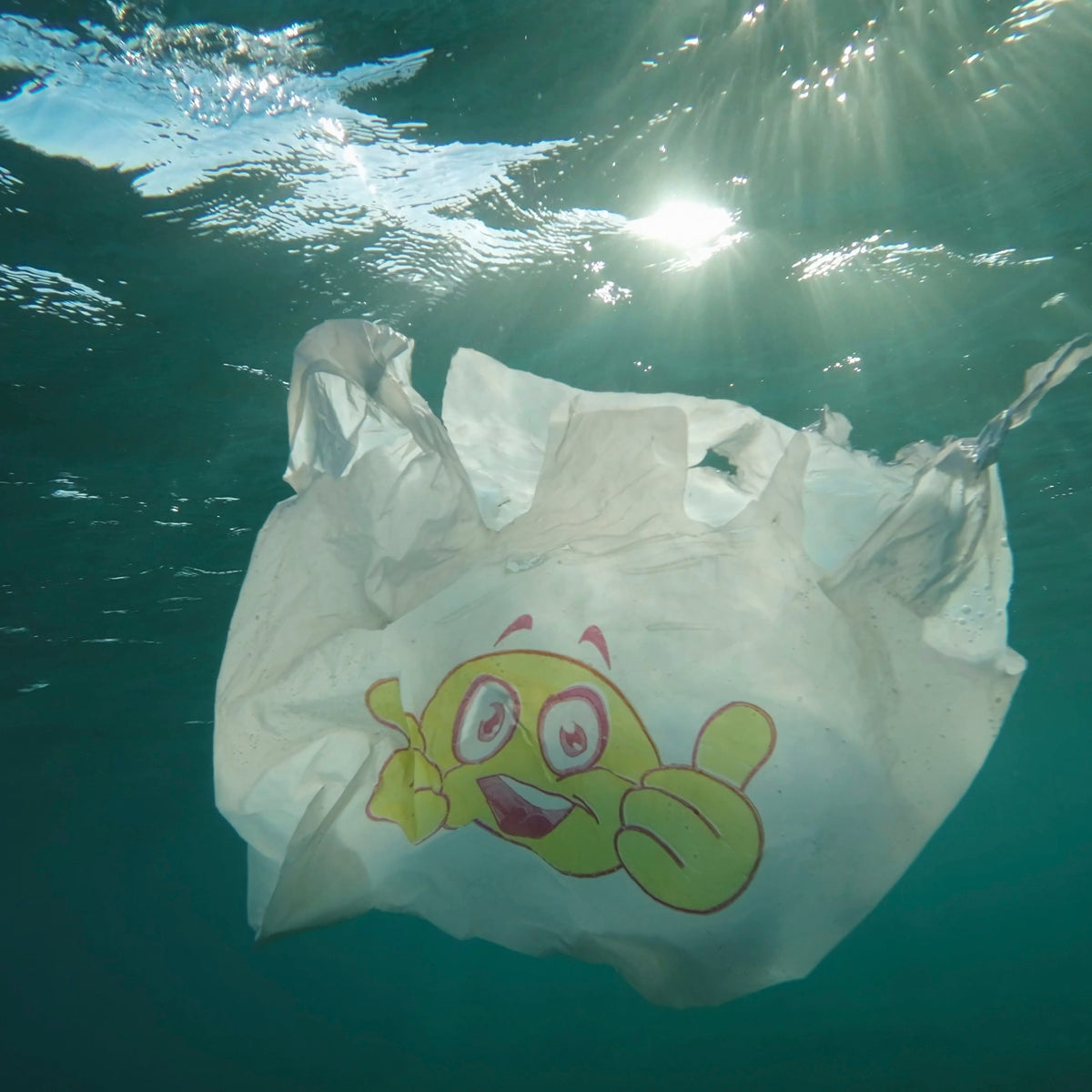 Environmental Win – 4ocean